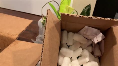 plant mail    mail youtube