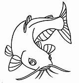 Catfish Coloring Pages Eyes Eye Drawing Beuatiful Sketch Color Animal Printable Big Bluegill Preschool Clipart Scary Doctor Kids Getcolorings Eyed sketch template
