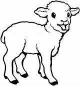 Sheep Pages Coloring Printable Cute Animals Lamb Colouring Kids Color Lambs Template Print Baby Children Little Spring sketch template