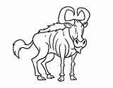 Wildebeest Coloring Blue Coloringcrew Colorear Drawings Designlooter sketch template