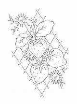 Strawberry Vine Drawing Embroidery Vintage Flickr Coloring Getdrawings Paintingvalley Drawings sketch template
