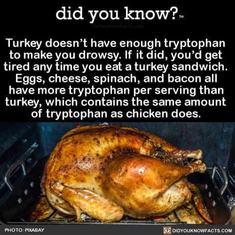 did you know turkey doesn t have enough tryptophan to make you