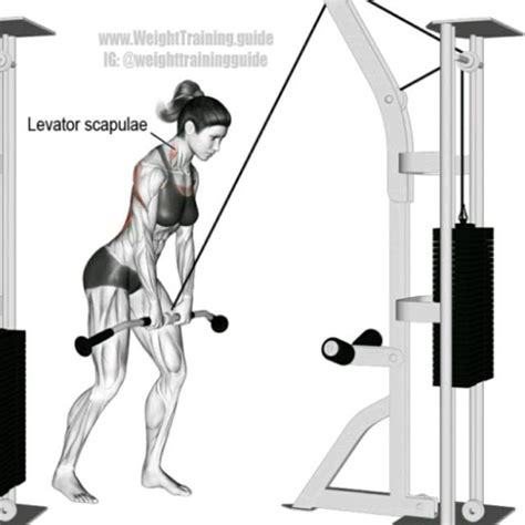 pulldown  danilo coelho exercise   skimble