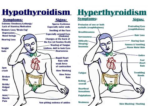 here is everything you should know about thyroid disorders signs