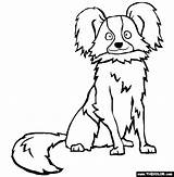 Papillon Coloring Online Dogs Pages 565px 58kb sketch template