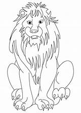 African Lion Coloring Drawing Getdrawings Drawings Kids Pages sketch template