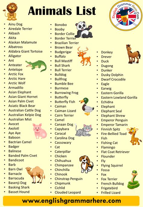 animals  detailed animals names list animals  list