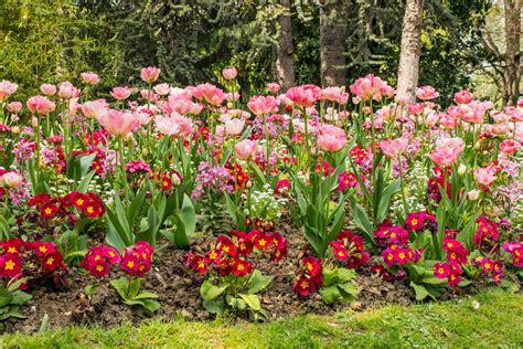 Comment Créer Des Massifs De Fleurs Maison And Jardin
