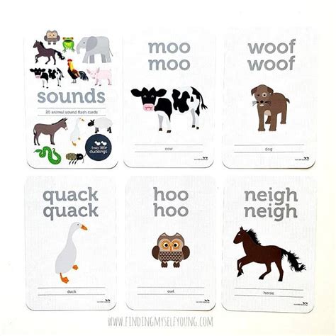 animal sounds flash cards animal sounds flashcards elephant sound