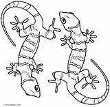 Gecko Eidechse Ausmalbild Lagartija Geckos Cool2bkids Lagarto Getcolorings Ausdrucken Animal Malvorlagen Bestcoloringpagesforkids Effortfulg Shimmer sketch template