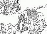 Ecosystem Oceano Peixinho Nadando Tartaruga Colorir Tudodesenhos Kidsplaycolor sketch template