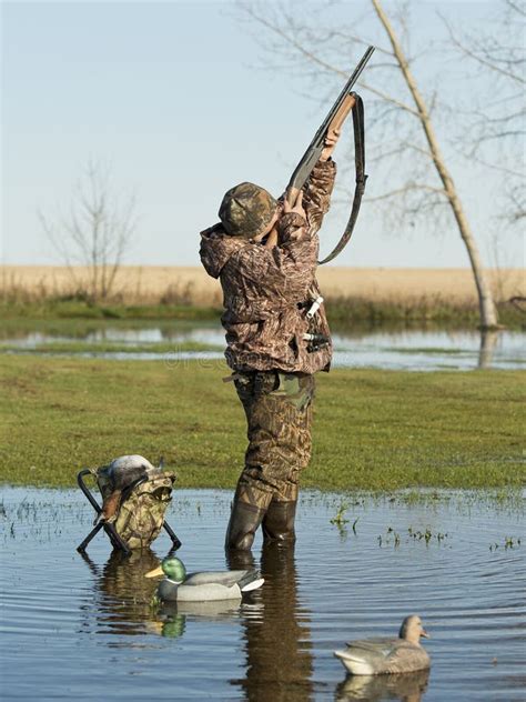 duck hunter  gun shooting stock photo image