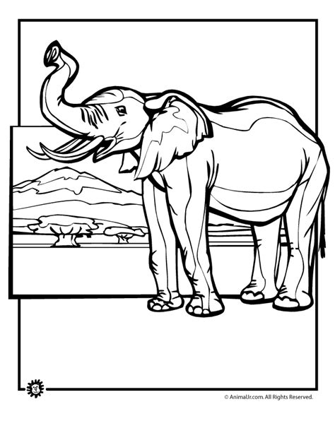 elephant coloring pages  print coloring home