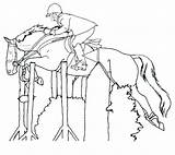 Riding Coloring Pages Horseback Horse Getdrawings Colouring Jumping sketch template