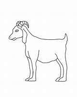 Goat sketch template