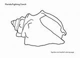 Shell Conch Outline Cliparts Coloring Seashell Pages sketch template