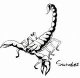 Scorpion Drawing Cartoon Tattoo Draw Drawings Scorpions Designs Line Colouring Deviantart Clip Coloring Clipartmag Tatoo Clipart Getdrawings Stats Downloads Find sketch template