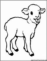 Coloring Pages Baby Lamb Animals Sheep Print Kids Printable Color Cute Farm Animal Colouring Clipart Children Clip Template Popular Little sketch template