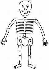 Skeleton Kids Coloring Halloween Drawing Pages Clipart Copy Human Skeletons Half Draw Printable Cliparts Print Drawings Body Showcase Clip Library sketch template