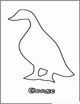 Goose Coloring Baby Popular Pages sketch template