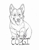 Corgi Line Drawing Deviantart Favourites Add Getdrawings sketch template