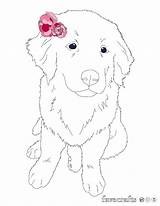Puppy Coloring Pages Flower Cute Print Printable Easy Favecrafts Colouring Read Choose Board sketch template