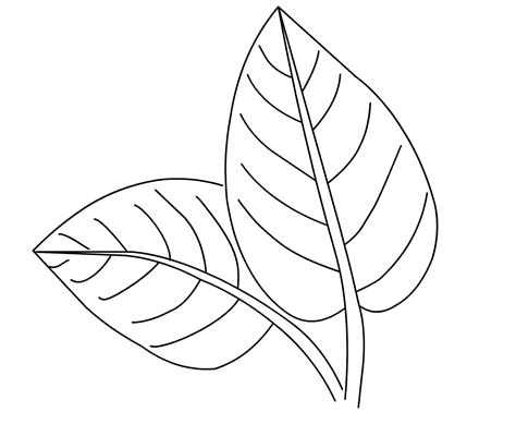flower coloring page    svg file