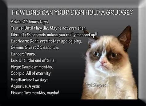 How Long Can Your Sign Hold Grudges Grumpy Cat Virgo