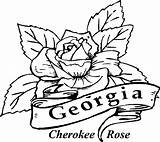 Rose Coloring Cherokee Georgia Pages State Color Printable Drawing Flowers Roses Bluebonnet Kids Bulldog Bulldogs Flower Clipart Comments Adults Connecticut sketch template