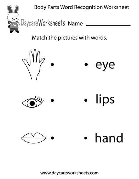 body parts word recognition worksheet  preschool