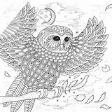 Uil Dieren Ontwerpen 123rf Downloaden Uitprinten Mandala Vogel Sp sketch template