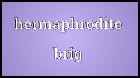 hermaphrodite brig meaning youtube