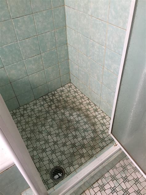 repair that leaking shower without removing tiles rhinoseal shower
