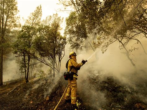 dead  carr fire  northern california continues  burn wjct news