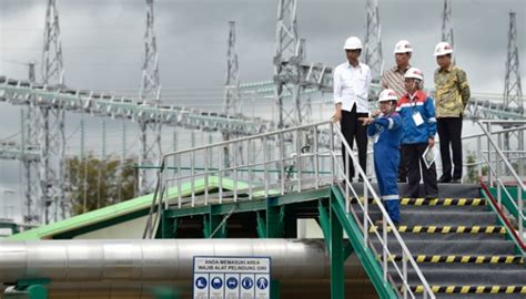 geothermal power plants  operate  year entempoco