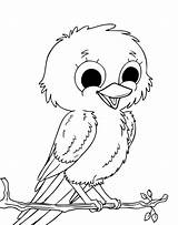 Bird Coloring Cute Pages Drawing Kids Birds Baby Owl Colouring Little Canary Easy Color Clipart Printable Getdrawings Drawings Library Print sketch template