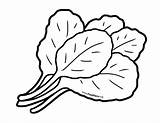 Greens Lettuce Leafy Pages Collard Foodhero Drawingskill Verduras Outlines Eggplant sketch template