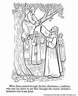 Zacchaeus Jesus Coloring Tree Encounters Climbs sketch template