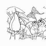 Floresta Pintar Paisagens Florestas Geografia Ensino Natureza Paisagem Arvores Reunidos Tucano Amazonia Selva Primeiro Pássaros Tamanho Superbook Desenhar Artesanatototal Tudodesenhos sketch template