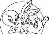 Warner Looney Tunes Tasmania sketch template