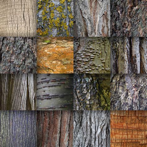 tree bark textures digital paper graphic  oldmarketdesigns