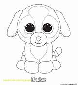 Duke Coloring Pages Getdrawings Boo Beanie sketch template