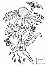 Susan Eyed Coloring Pages Drawing Getdrawings sketch template