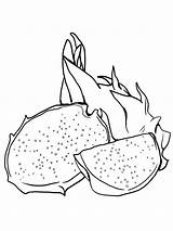 Dragonfruit Hitam Durian Gaddynippercrayons Buah Species sketch template