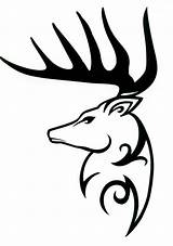Deer Tribal Tattoo Head Drawing Outline Designs Skull Clipart Elk Tattoos Easy Cliparts Buck Silhouette Sweet Pro Clipartmag Animal Decal sketch template