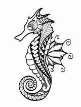 Seahorse Zentangle Marino Cavalluccio Caballitos Maori Mandala Tatuaggio Caballito Seepferdchen Seahorses Tatuaje Drachen Cavallucci Marini Caballo Mandalas Westend Bocetos sketch template