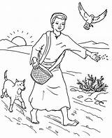 Sower Parable Thorns Among Nordendorf Westendorf sketch template