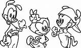 Animaniacs Wecoloringpage sketch template