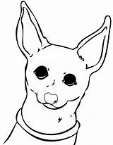 Chihuahua Coloring Pages Dog Lab Chiwawa Cute Color Chihuahuas Print Drawing Dogs Printable Line Puppy Kids Clipart Getdrawings Puppies Curious sketch template