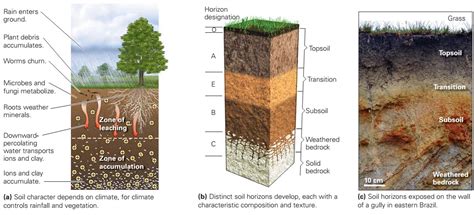 soil learning geology